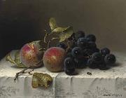 Johann Wilhelm Preyer Prunes and grapes on a damast tablecloth oil